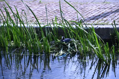 DSC_1713 (Large).JPG